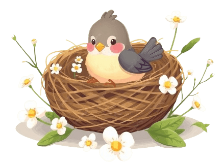 Cute Bird Nest