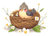 nest